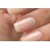 French Manicure F09